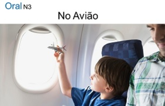 N3口语－在飞机上/No Avião